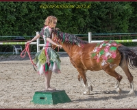 1-13JUIN 0847